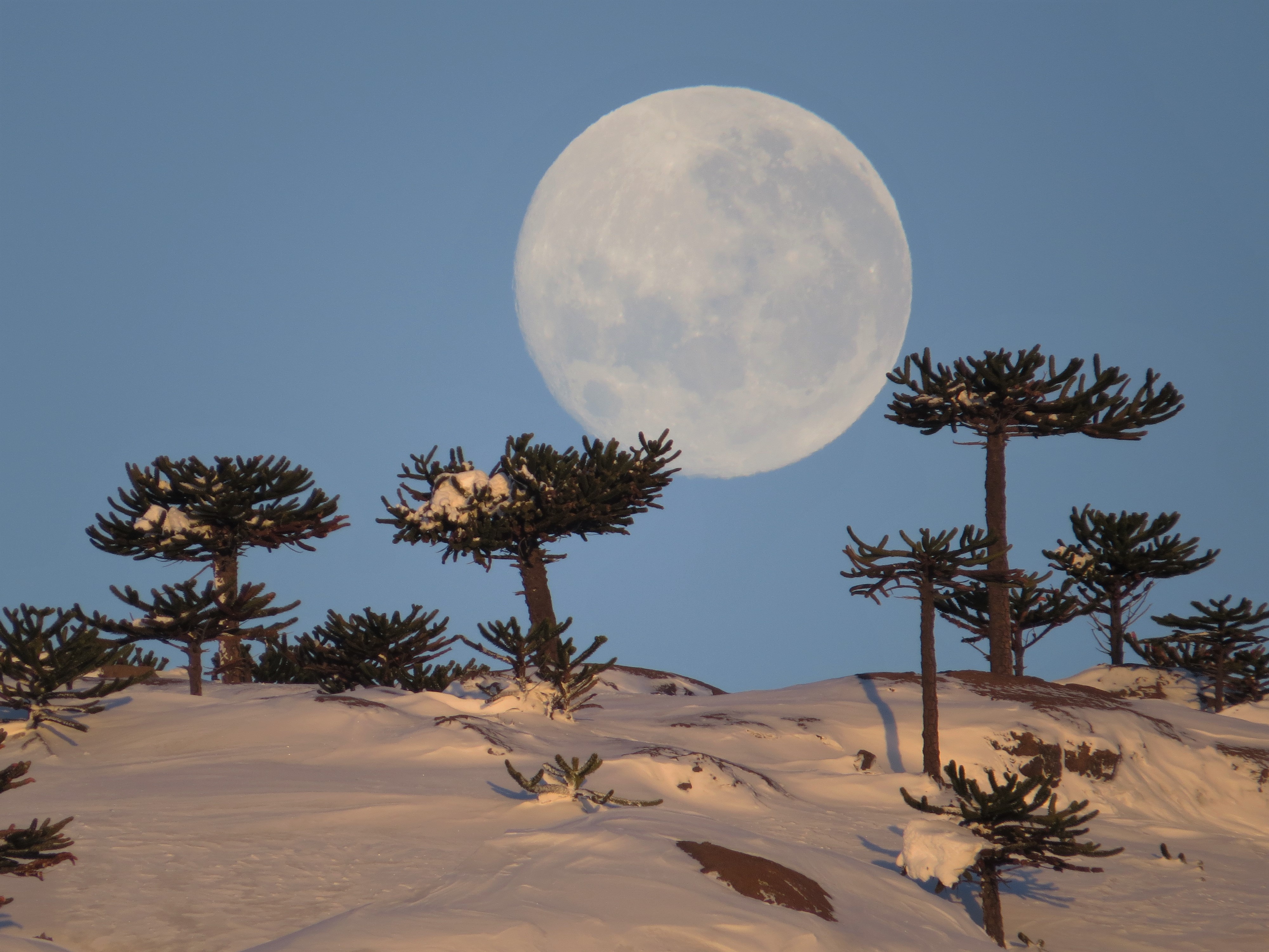 Invierno en Caviahue-Copahue