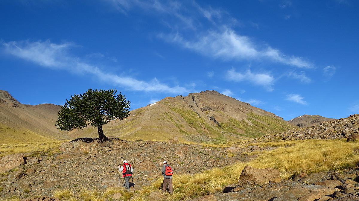 CUMBRE DEL CERRO PIRÁMIDE