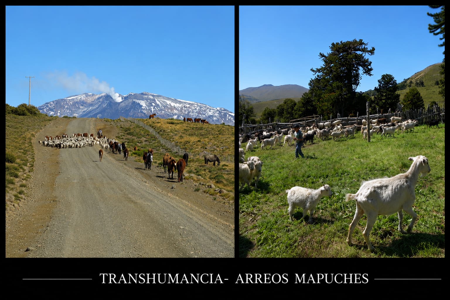 Primavera y Verano en Caviahue y Copahue